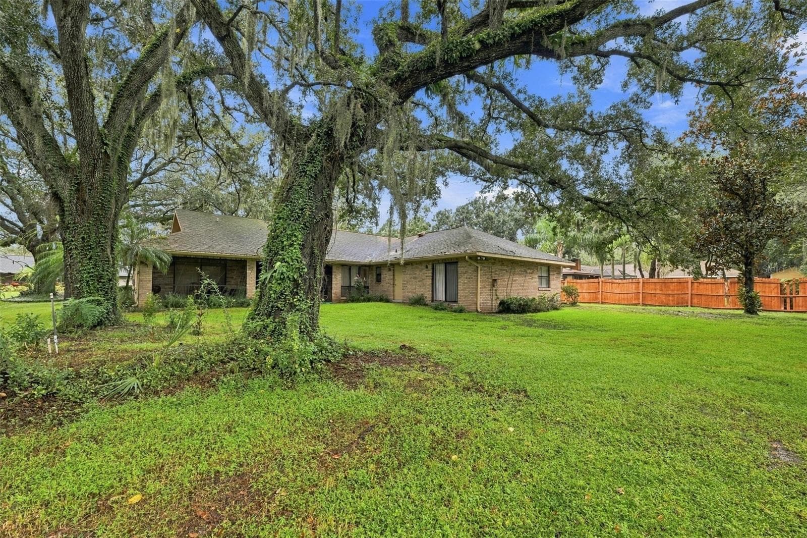Backyard - 2609 MANOR OAK DR, VALRICO