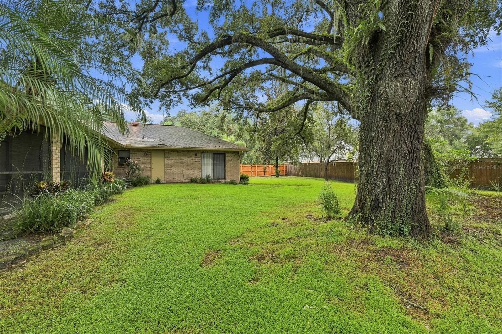 Backyard - 2609 MANOR OAK DR, VALRICO
