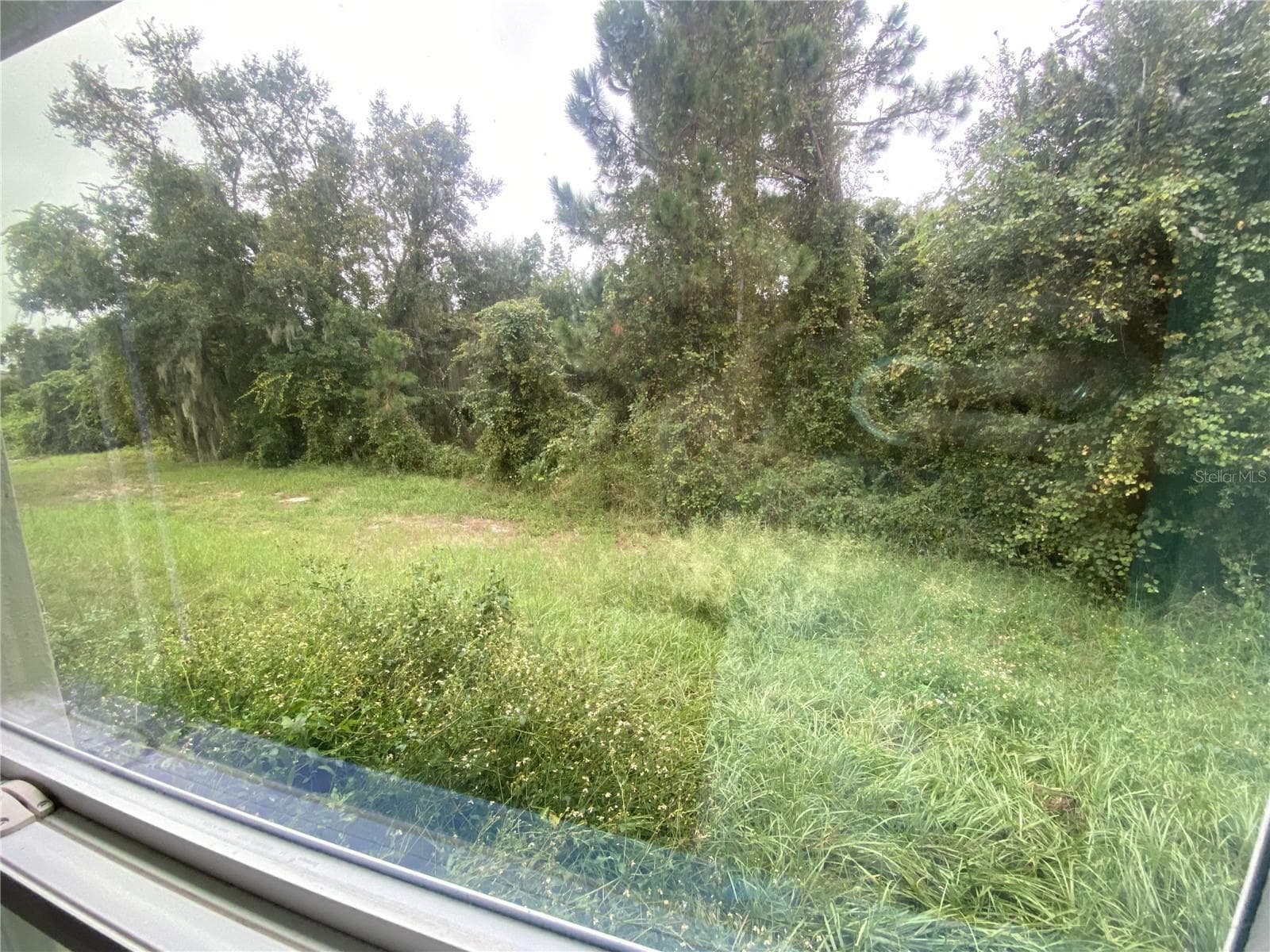 View of the backyard from Bedroom 4. - 2091 PECOS DR, POINCIANA