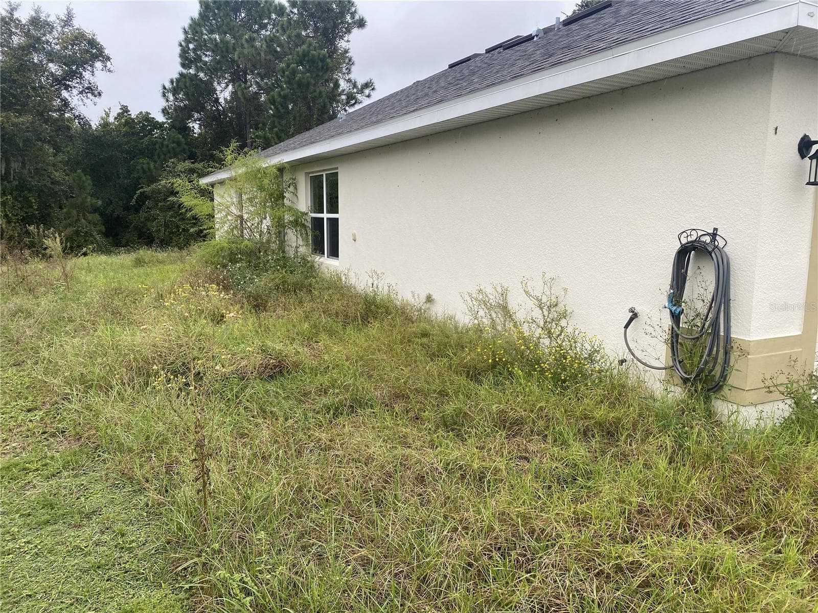 Side Yard Prior to Grass Cutting. - 2091 PECOS DR, POINCIANA