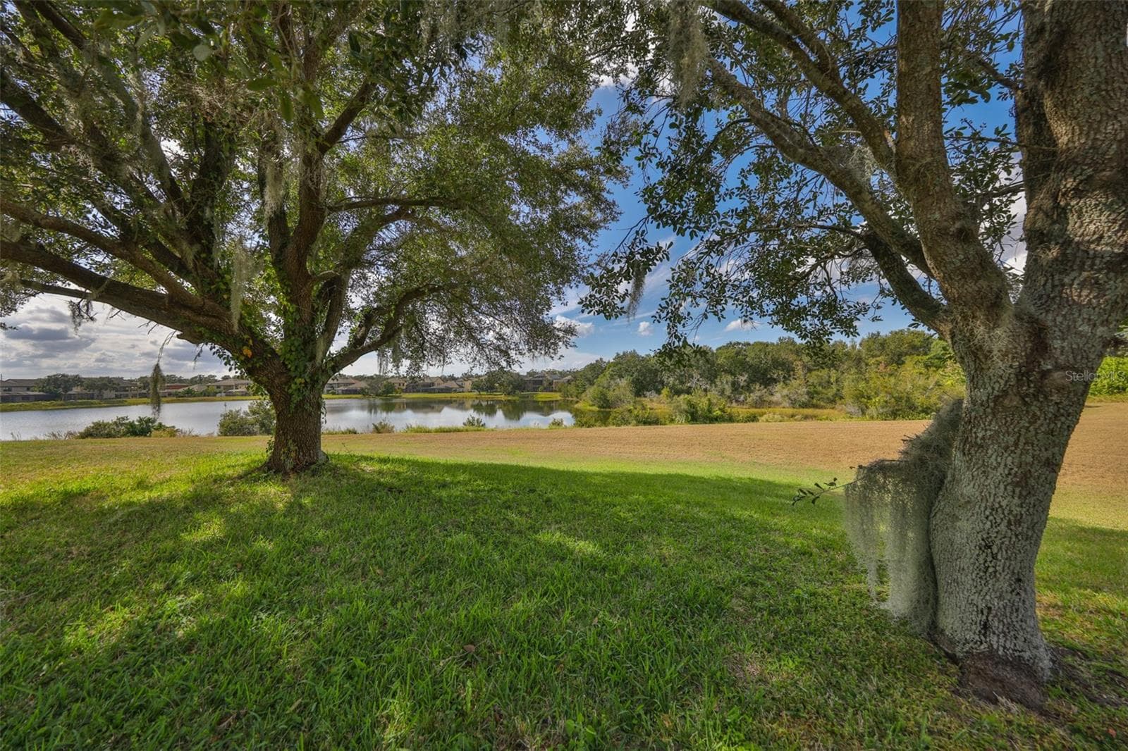 Single Family Residence at 13914 CHALK HILL PL, RIVERVIEW, photo 46 of 57