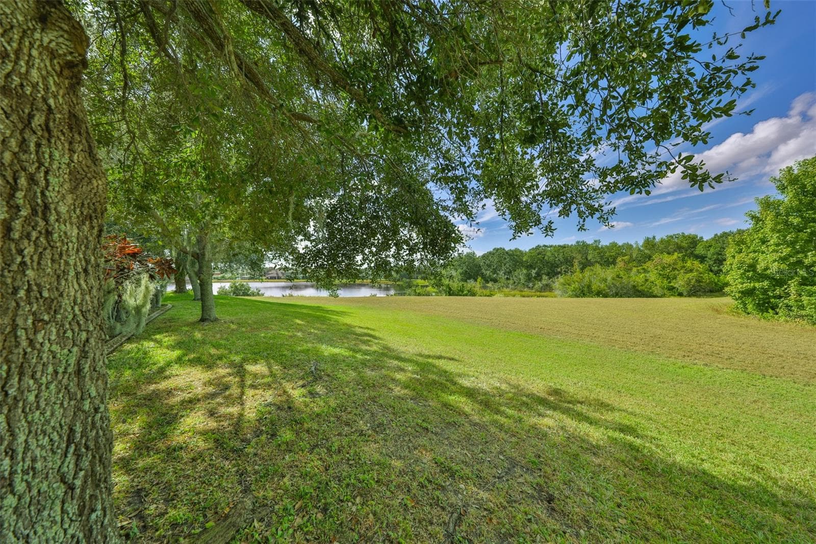 Single Family Residence at 13914 CHALK HILL PL, RIVERVIEW, photo 47 of 57