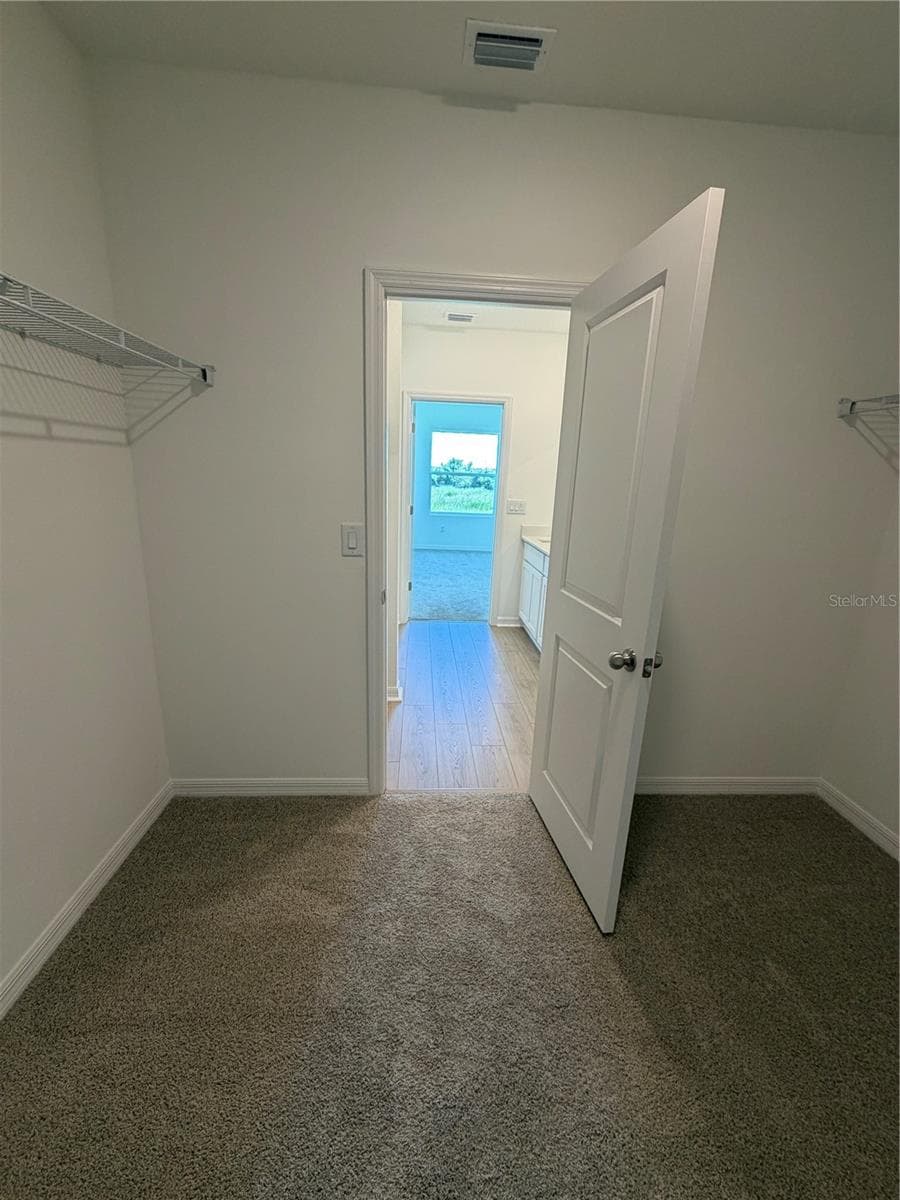 Primary walk in closet - 12922 RED DEER PL, PARRISH