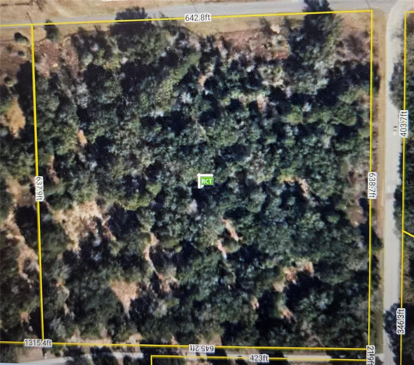 Land at 17701 SEIDNER RD, WINTER GARDEN, photo 4 of 39