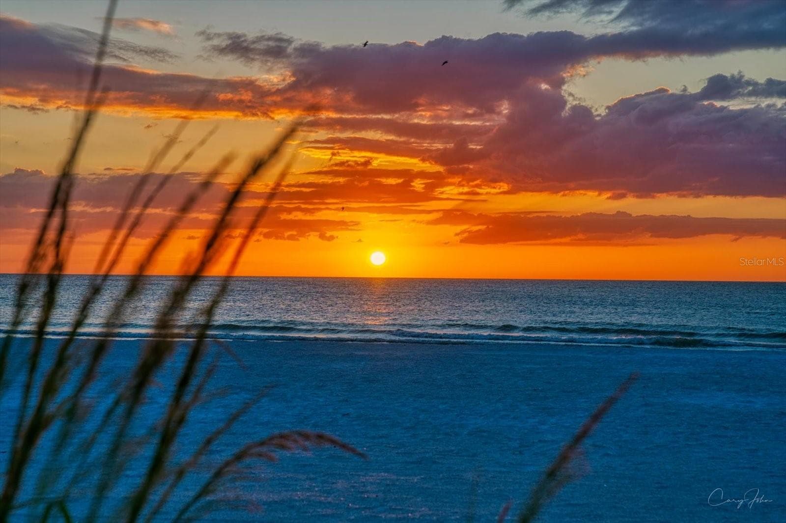 Exquisite setting - 1512 GULF BLVD, INDIAN ROCKS BEACH