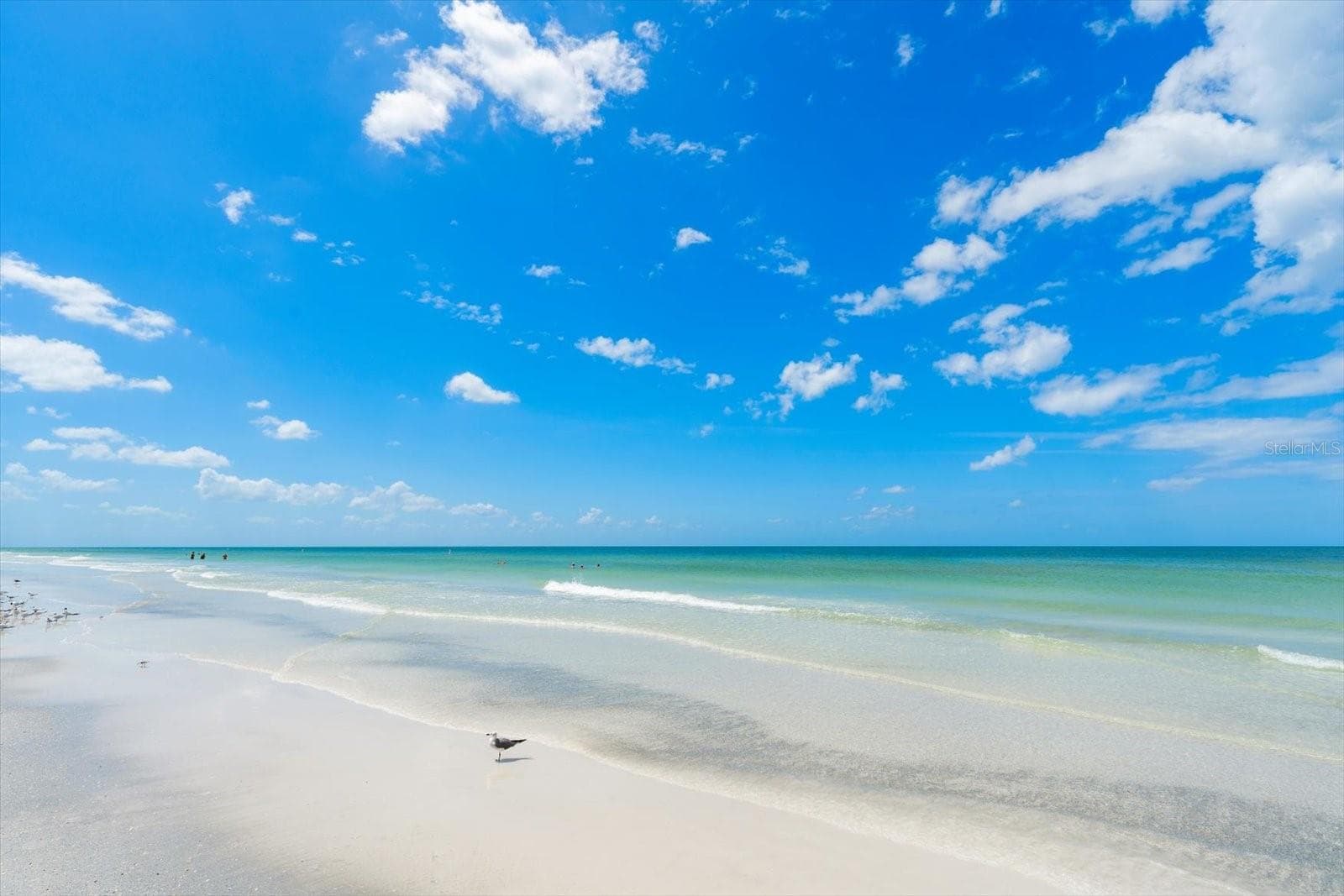 Pristine beaches to while away the day!! - 1512 GULF BLVD, INDIAN ROCKS BEACH