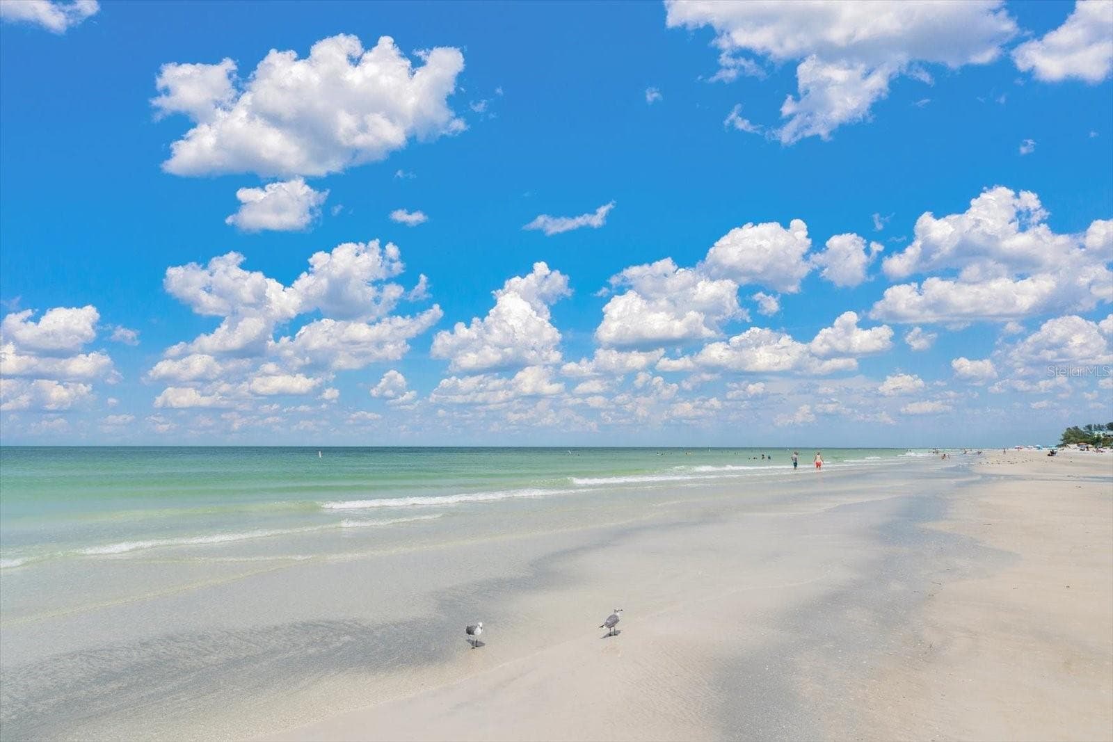A variety of BLUE!! - 1512 GULF BLVD, INDIAN ROCKS BEACH