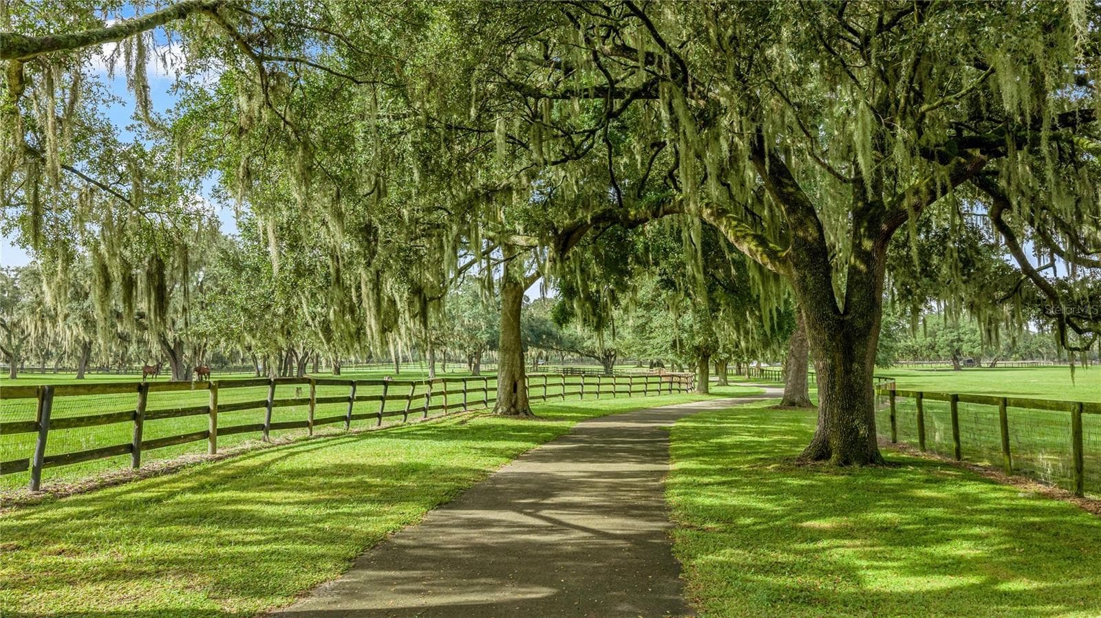 Farm at 12330 NW 35TH ST NW, OCALA, photo 52 of 78
