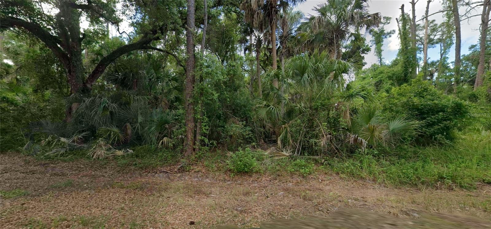 Land at 17403 ORION AVE, PORT CHARLOTTE, photo 2 of 3