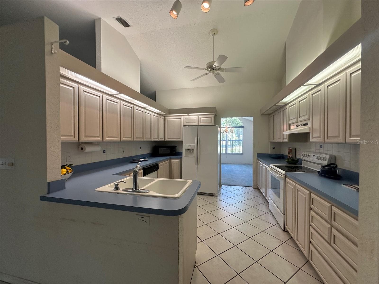Kitchen - 10816 SW 83RD AVE, OCALA
