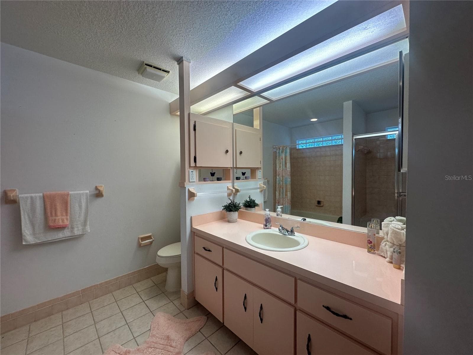 Master Bathroom - 10816 SW 83RD AVE, OCALA