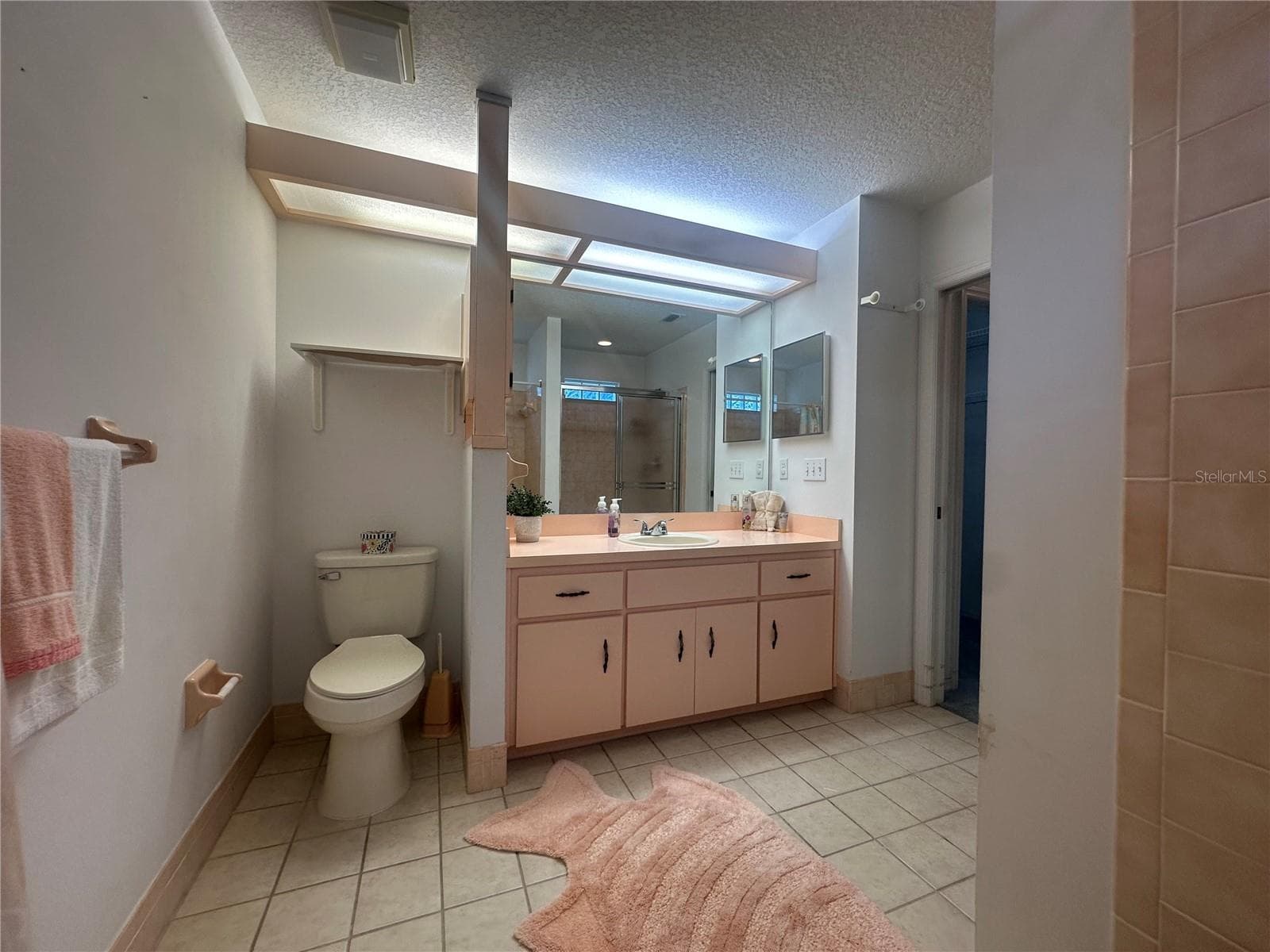 Master Bathroom - 10816 SW 83RD AVE, OCALA