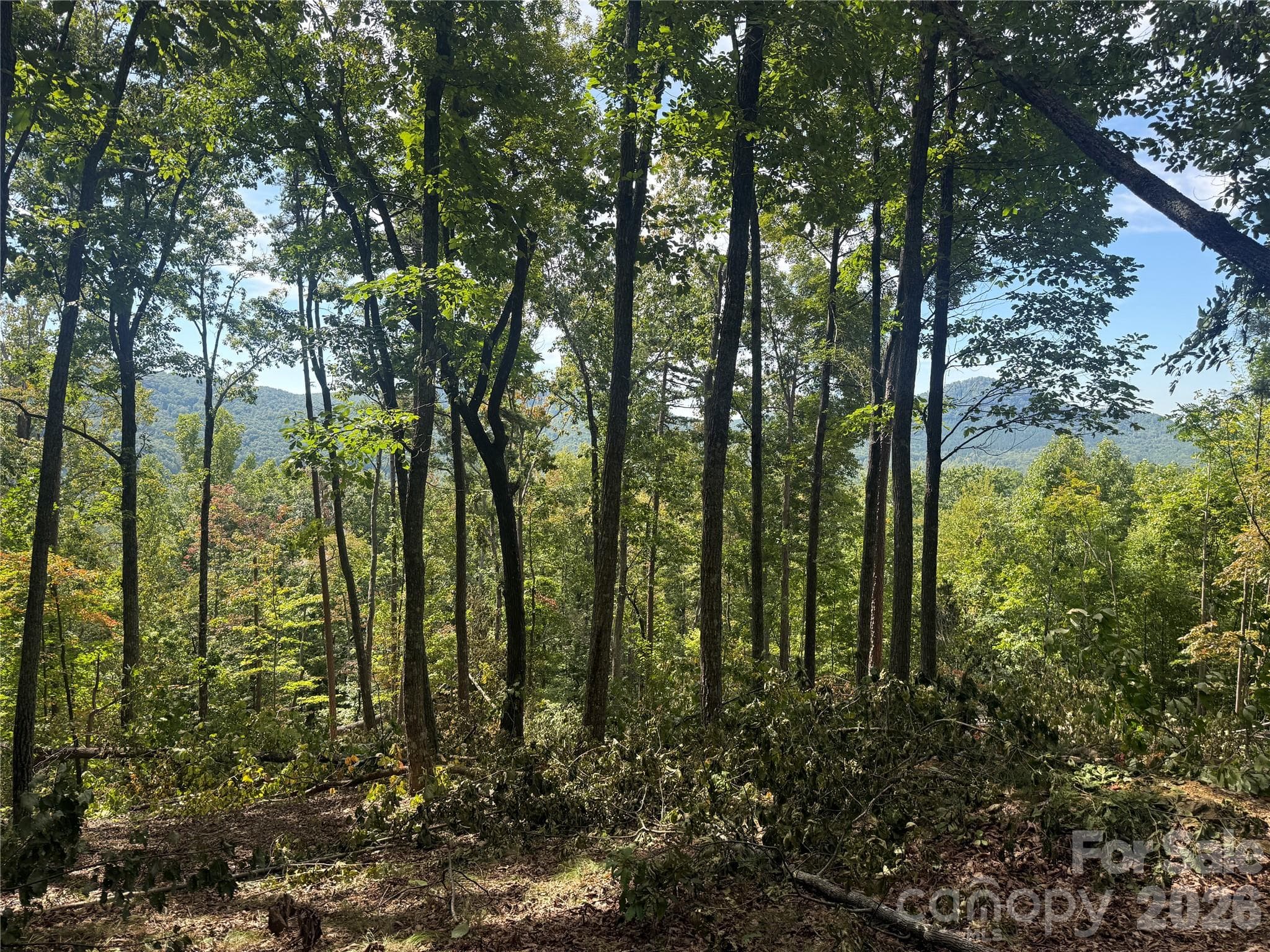 Lot at V/L Scenic Vista Drive, Nebo, photo 2 of 24