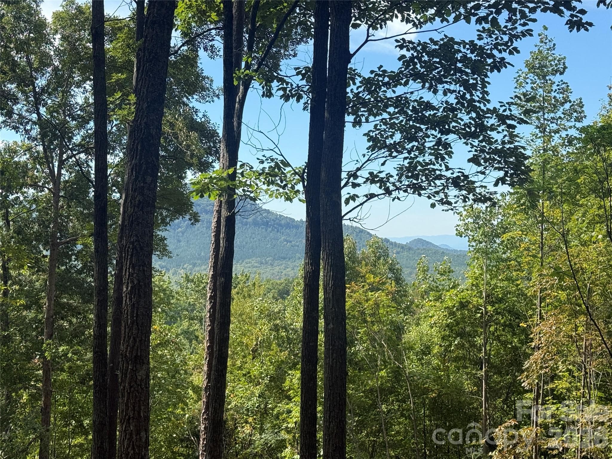Lot at V/L Scenic Vista Drive, Nebo, photo 3 of 24