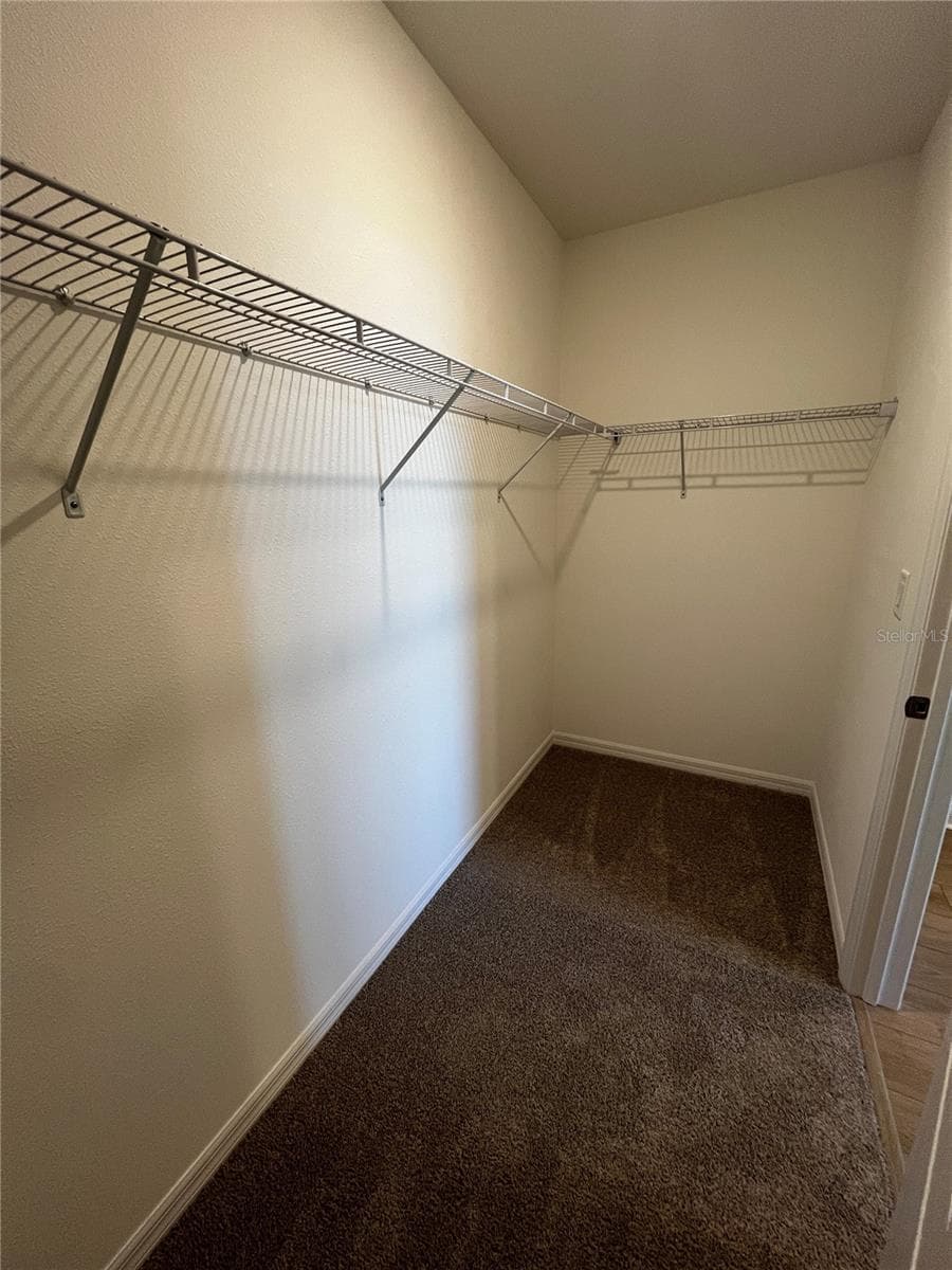 Primary Walk in Closet - 12910 RED DEER PL, PARRISH