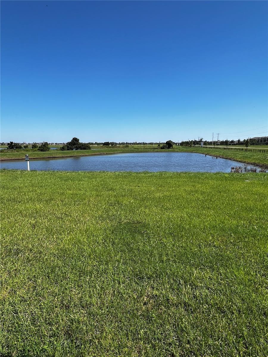 Back yard view - 12910 RED DEER PL, PARRISH