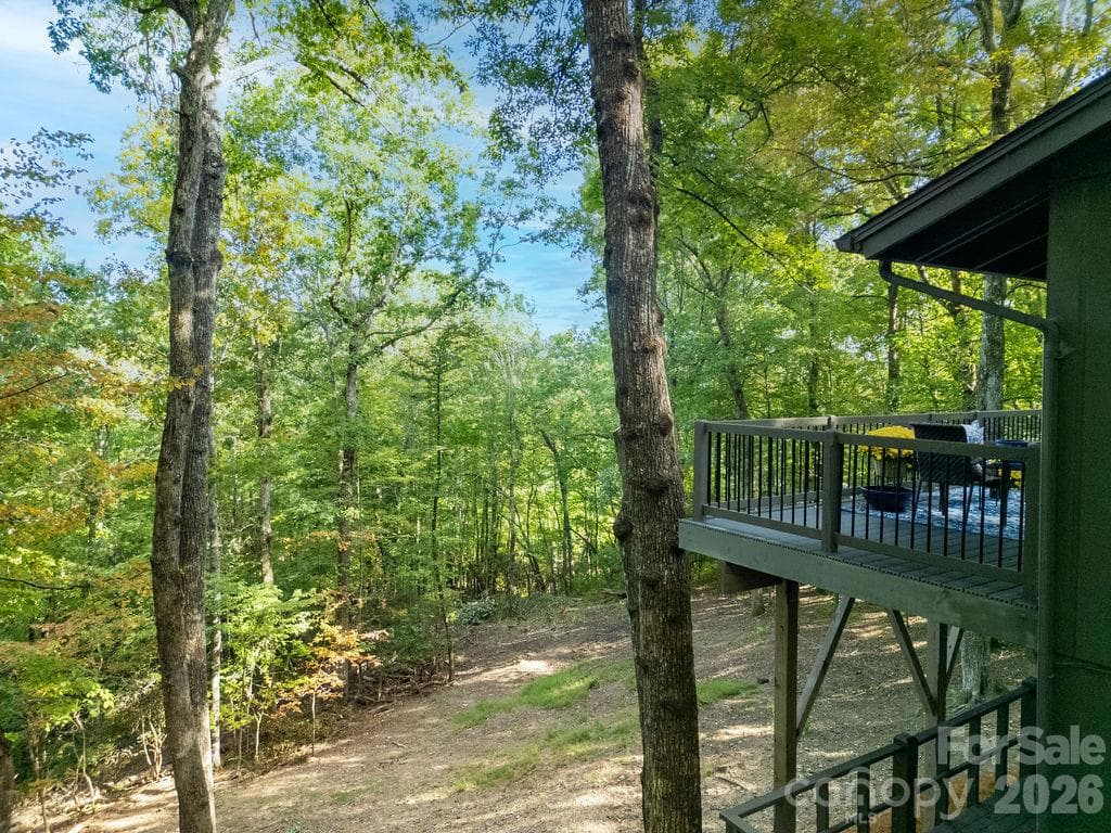 Views - 2377 Connestee Trail, Brevard
