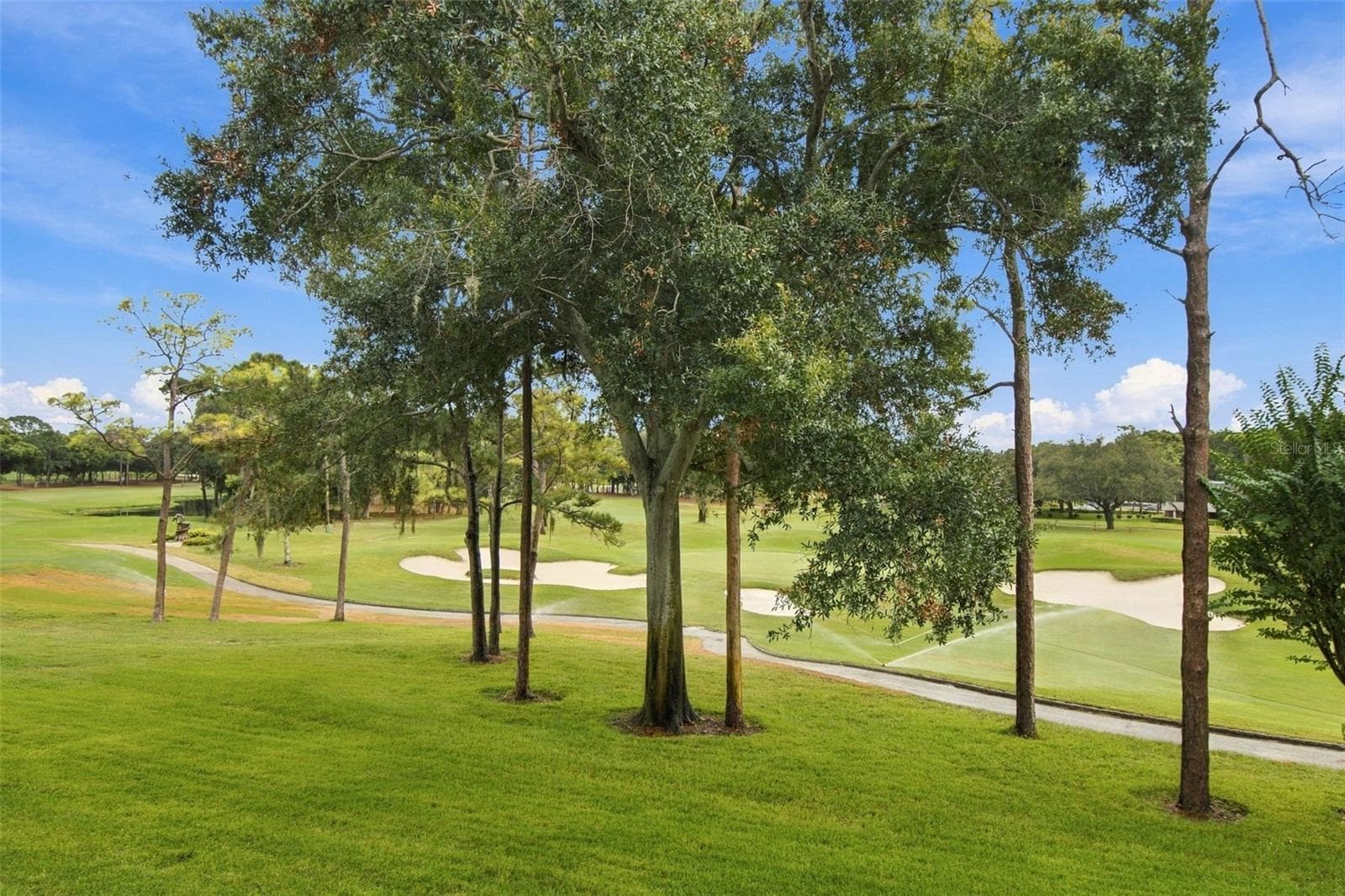 Condominium at 36750 US HIGHWAY 19 N #13217, PALM HARBOR, photo 3 of 60