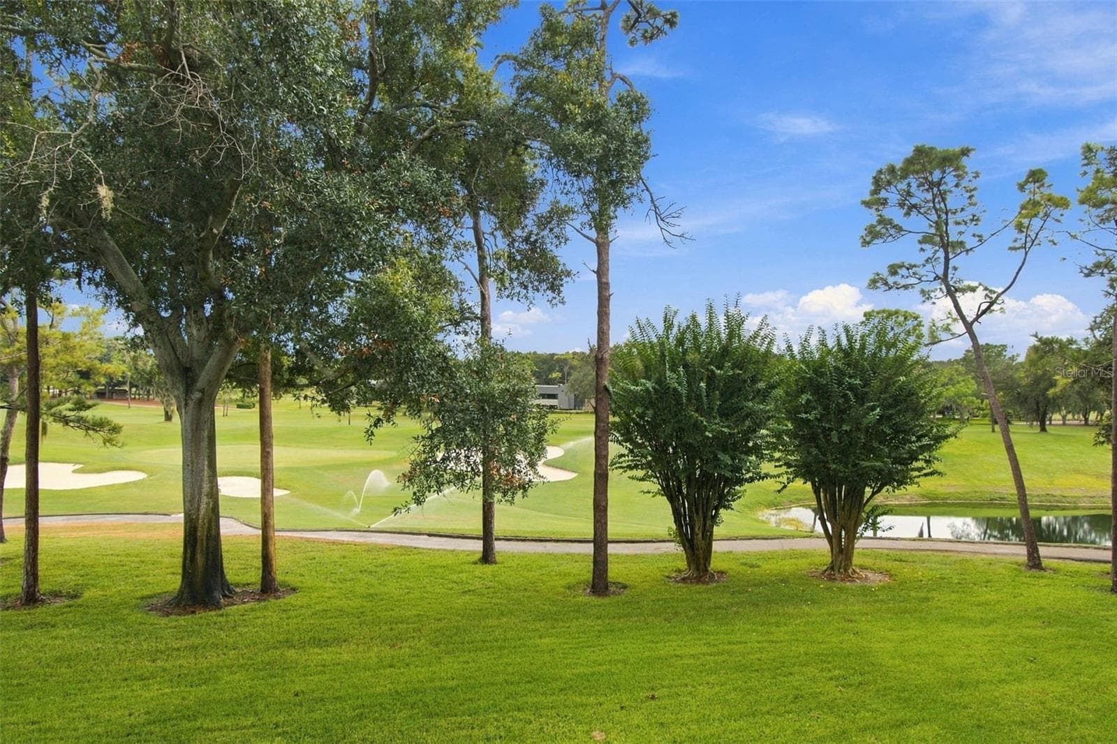 Condominium at 36750 US HIGHWAY 19 N #13217, PALM HARBOR, photo 5 of 60