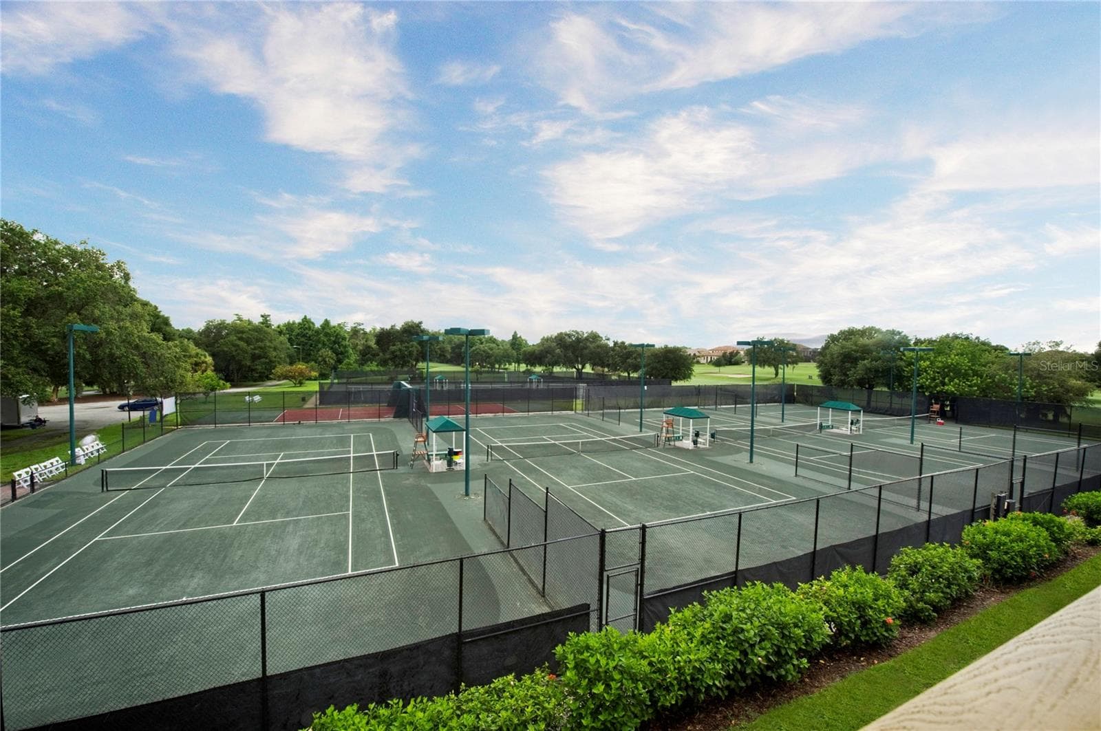 Condominium at 36750 US HIGHWAY 19 N #13217, PALM HARBOR, photo 52 of 60