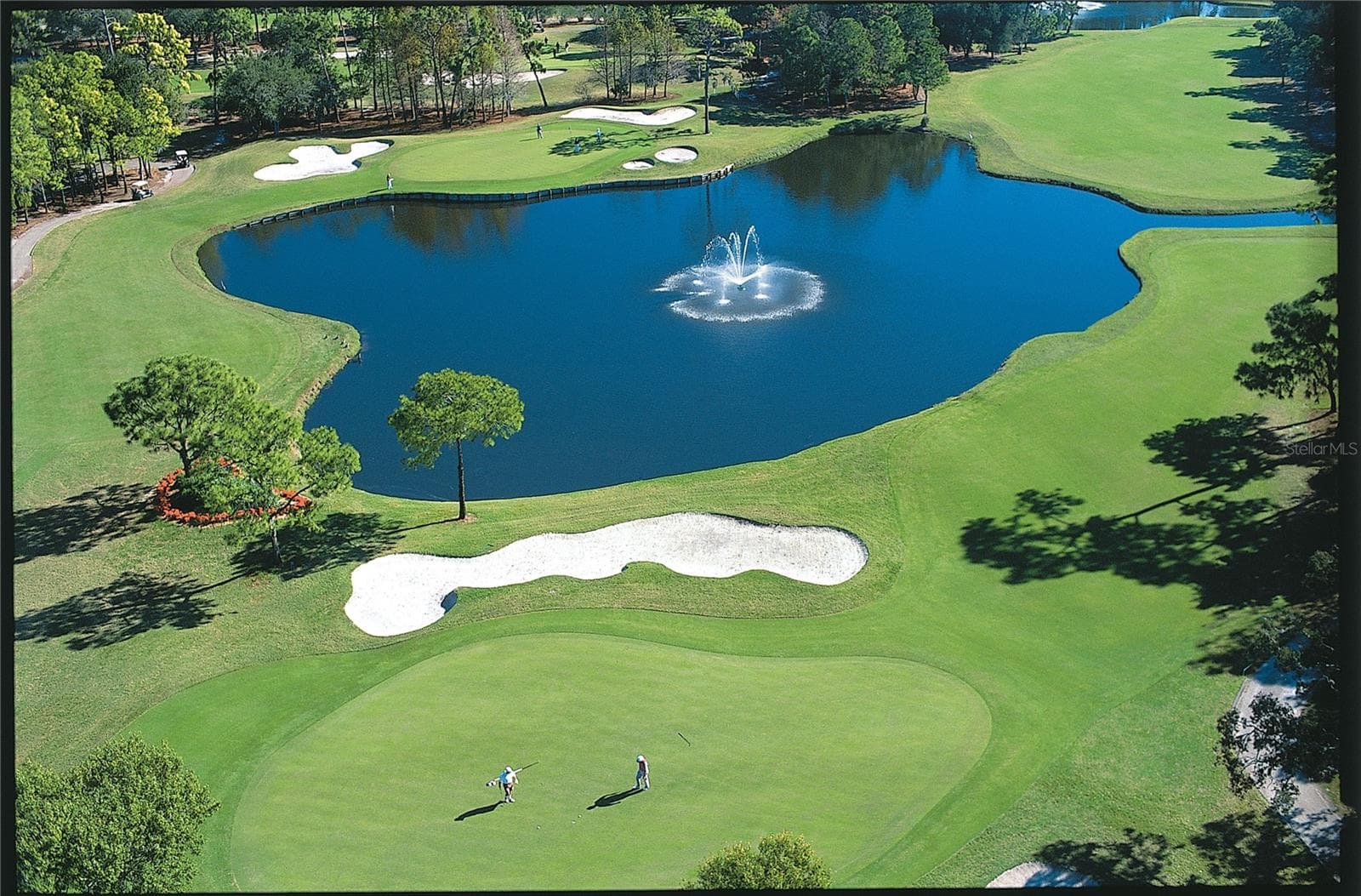 Condominium at 36750 US HIGHWAY 19 N #13217, PALM HARBOR, photo 54 of 60