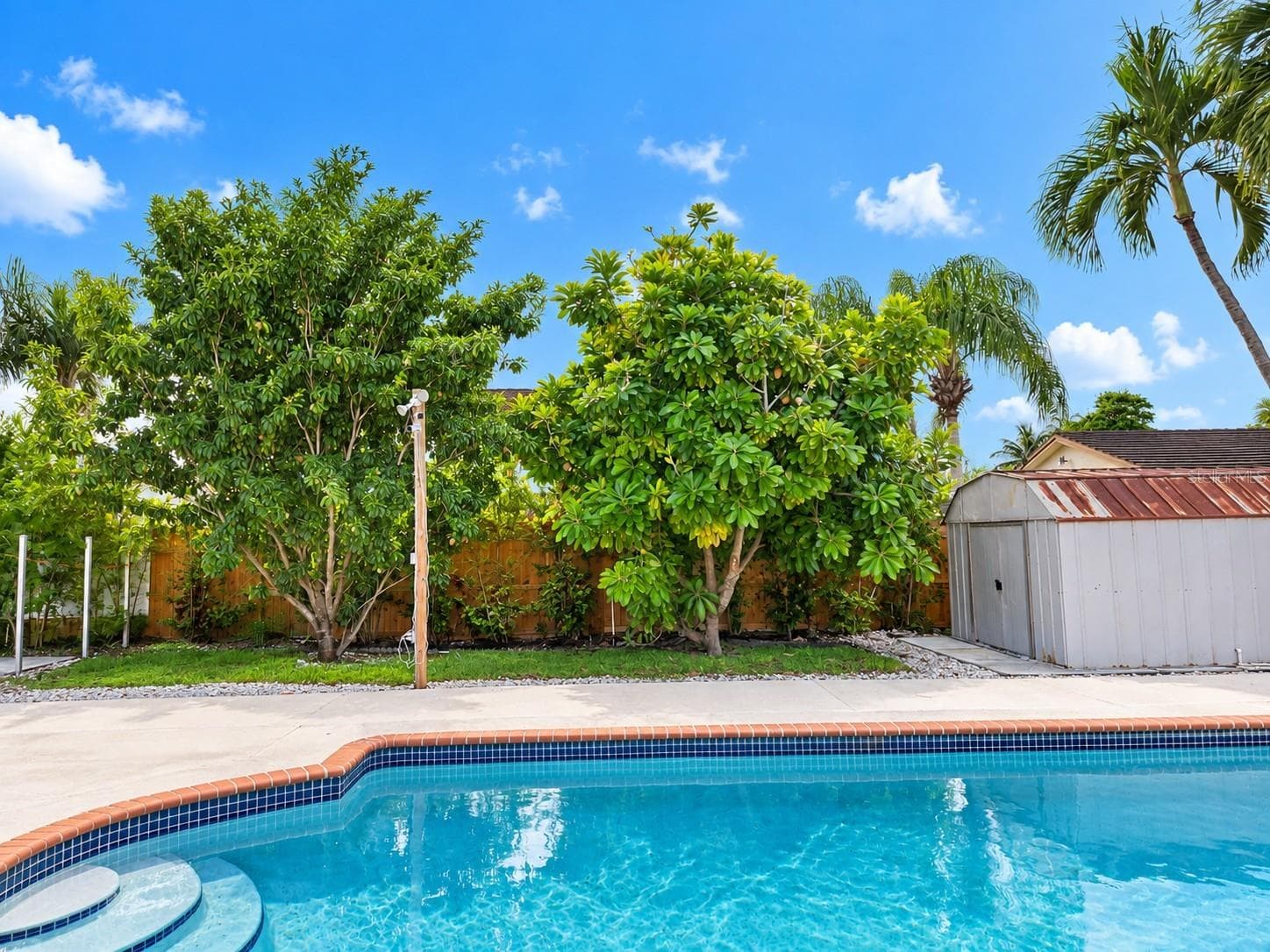 Fruit Trees - 20134 SW 131 CT, MIAMI