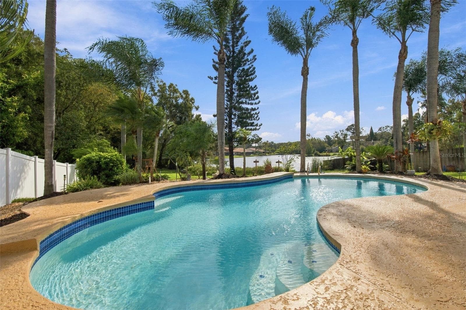 Arial Back Yard - 15113 ALEXIS DR, TAMPA