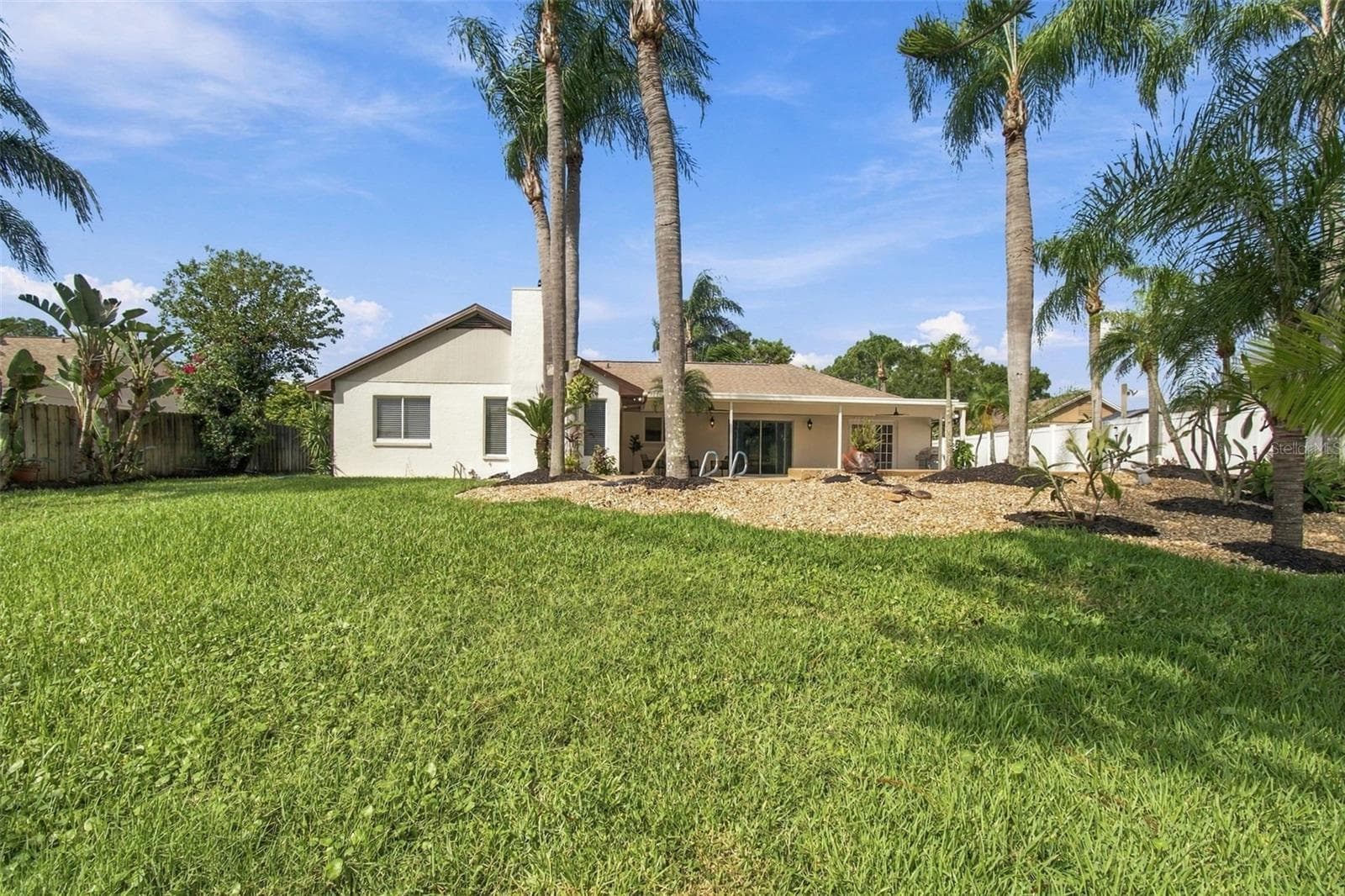 Back Yard - 15113 ALEXIS DR, TAMPA