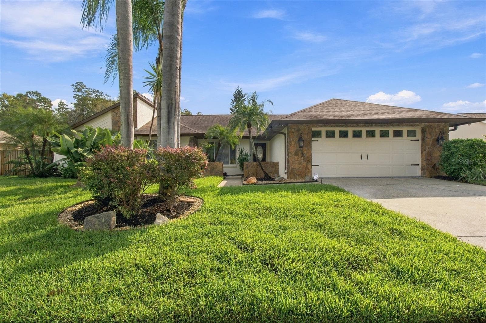 Back Pool & Lake - 15113 ALEXIS DR, TAMPA
