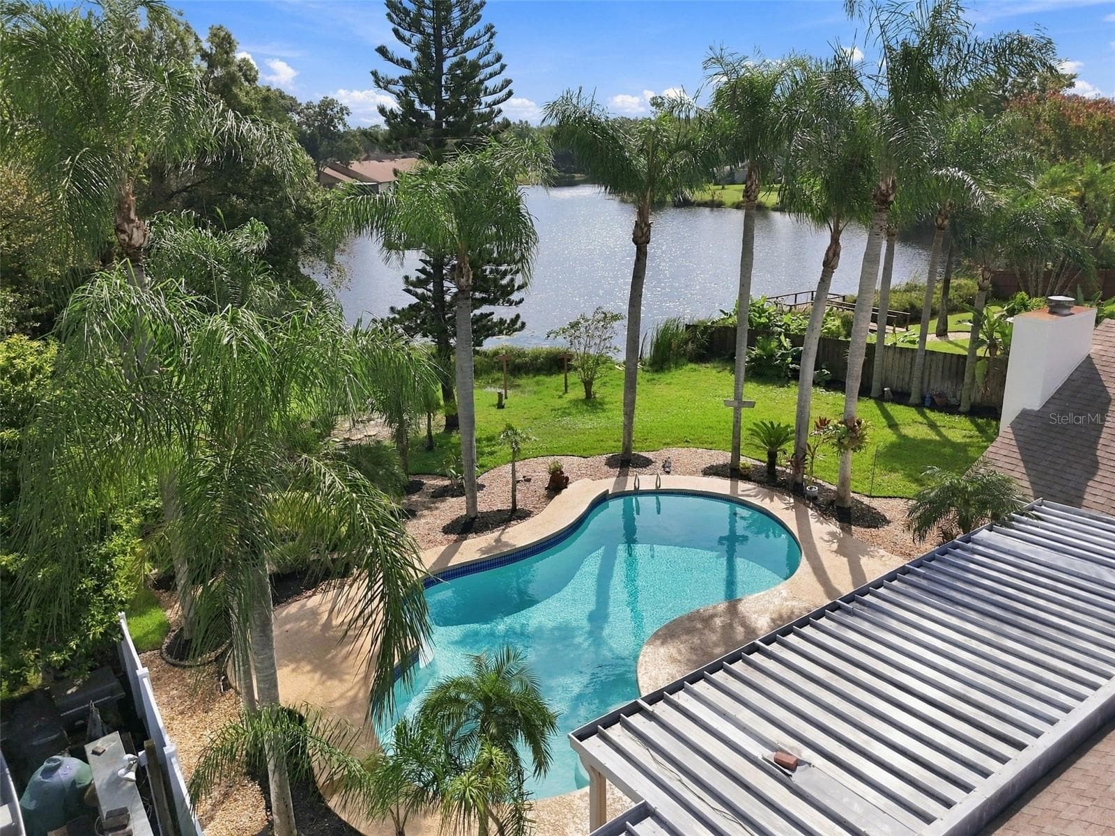 Arial Pool - 15113 ALEXIS DR, TAMPA