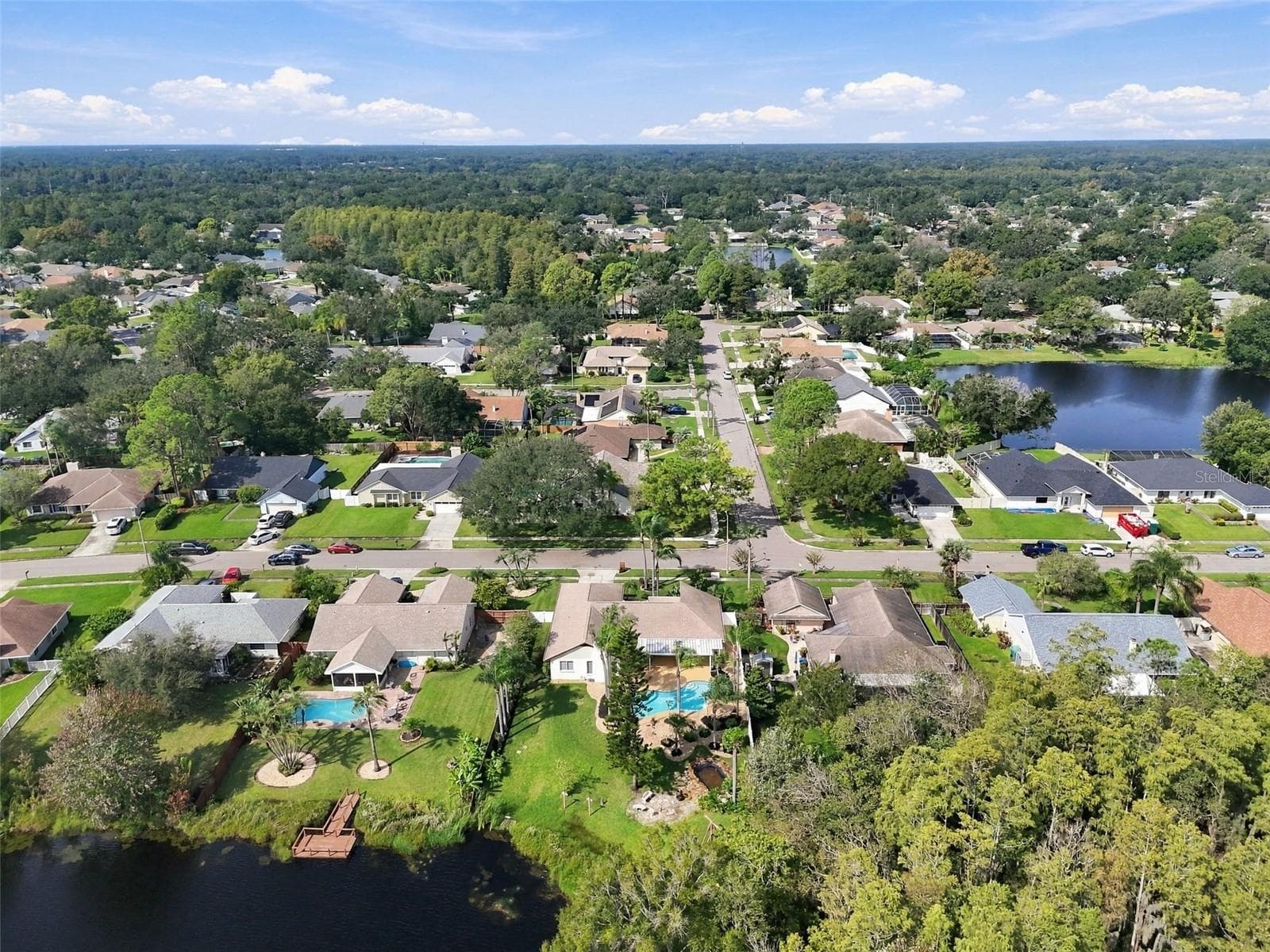 Arial Neighborhood - 15113 ALEXIS DR, TAMPA