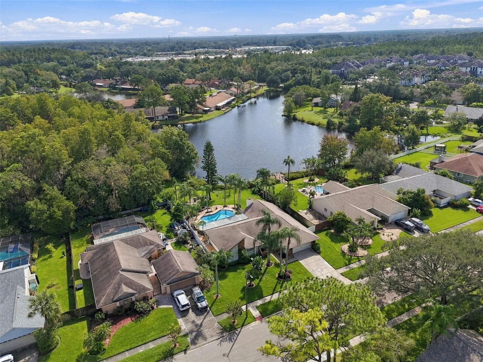 Arial - 15113 ALEXIS DR, TAMPA