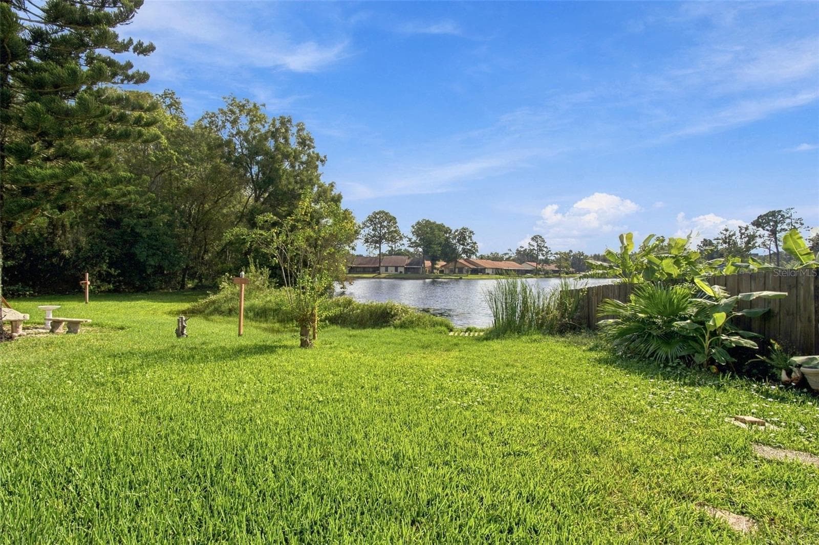 Back Yard - 15113 ALEXIS DR, TAMPA