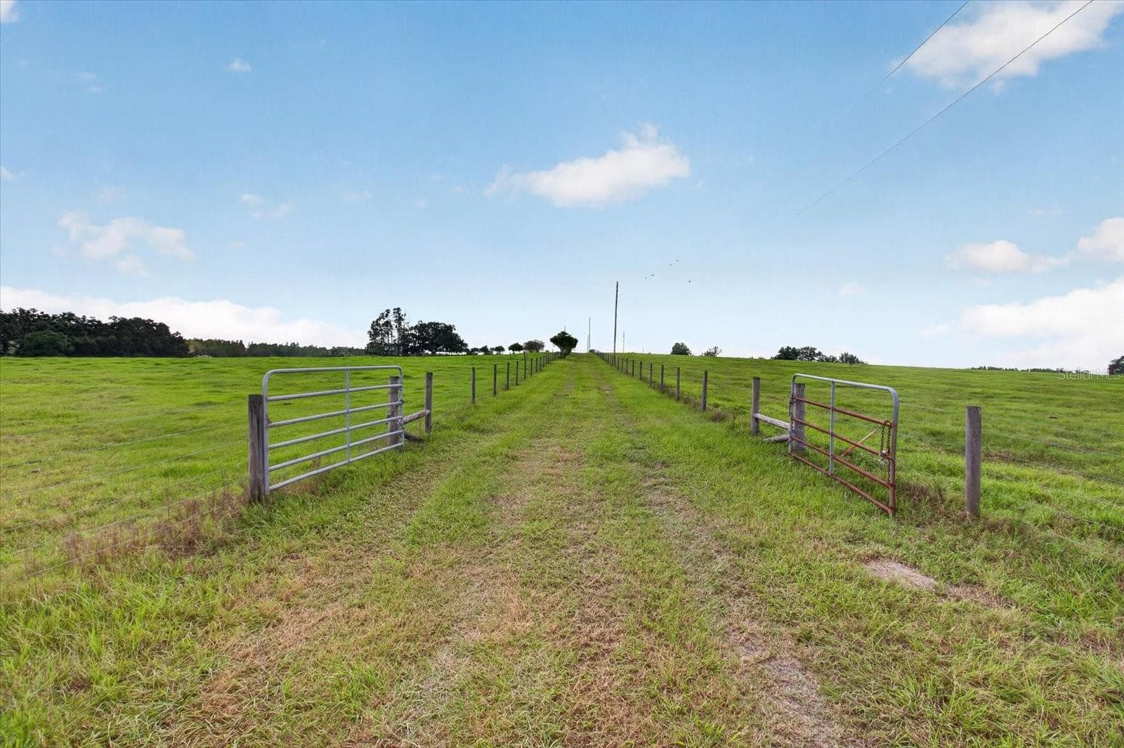 Land at 33610 KIEFER RD, WESLEY CHAPEL, photo 14 of 31