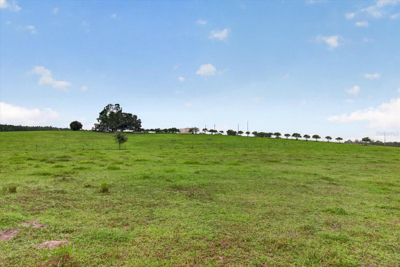 Land at 33610 KIEFER RD, WESLEY CHAPEL, photo 15 of 31