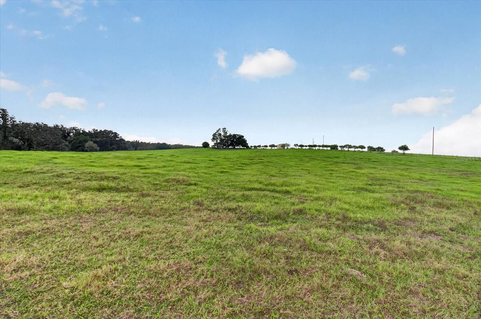 Land at 33610 KIEFER RD, WESLEY CHAPEL, photo 24 of 31