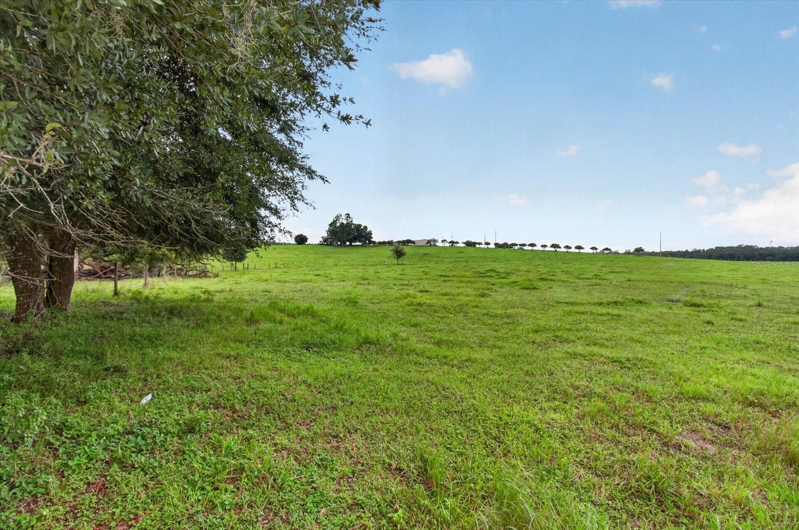 Land at 33610 KIEFER RD, WESLEY CHAPEL, photo 27 of 31