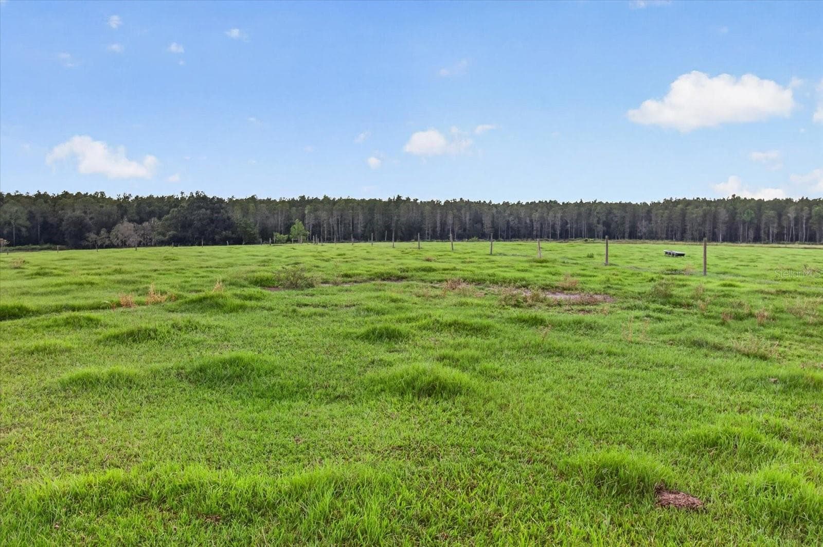 Land at 33610 KIEFER RD, WESLEY CHAPEL, photo 29 of 31