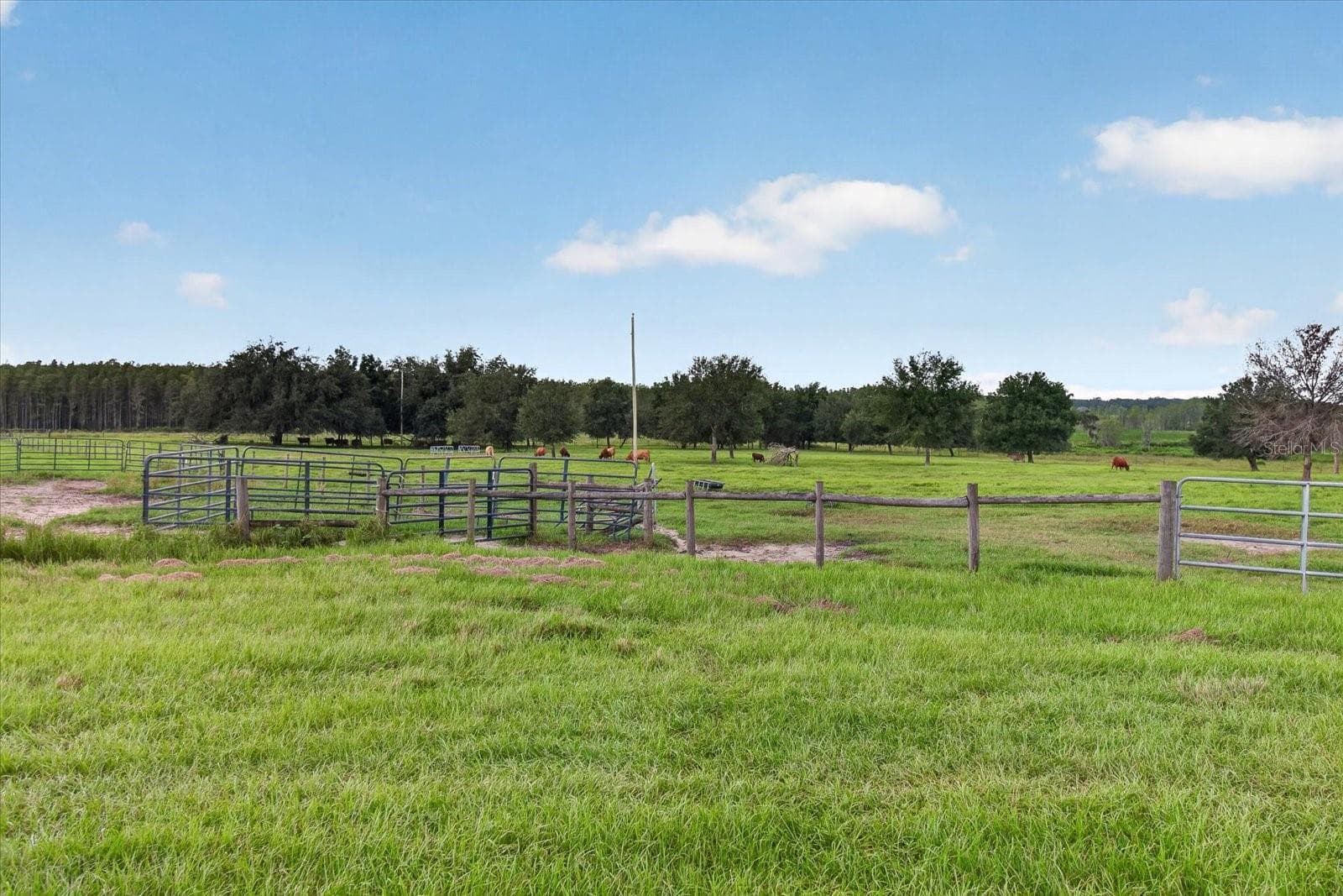 Land at 33610 KIEFER RD, WESLEY CHAPEL, photo 31 of 31