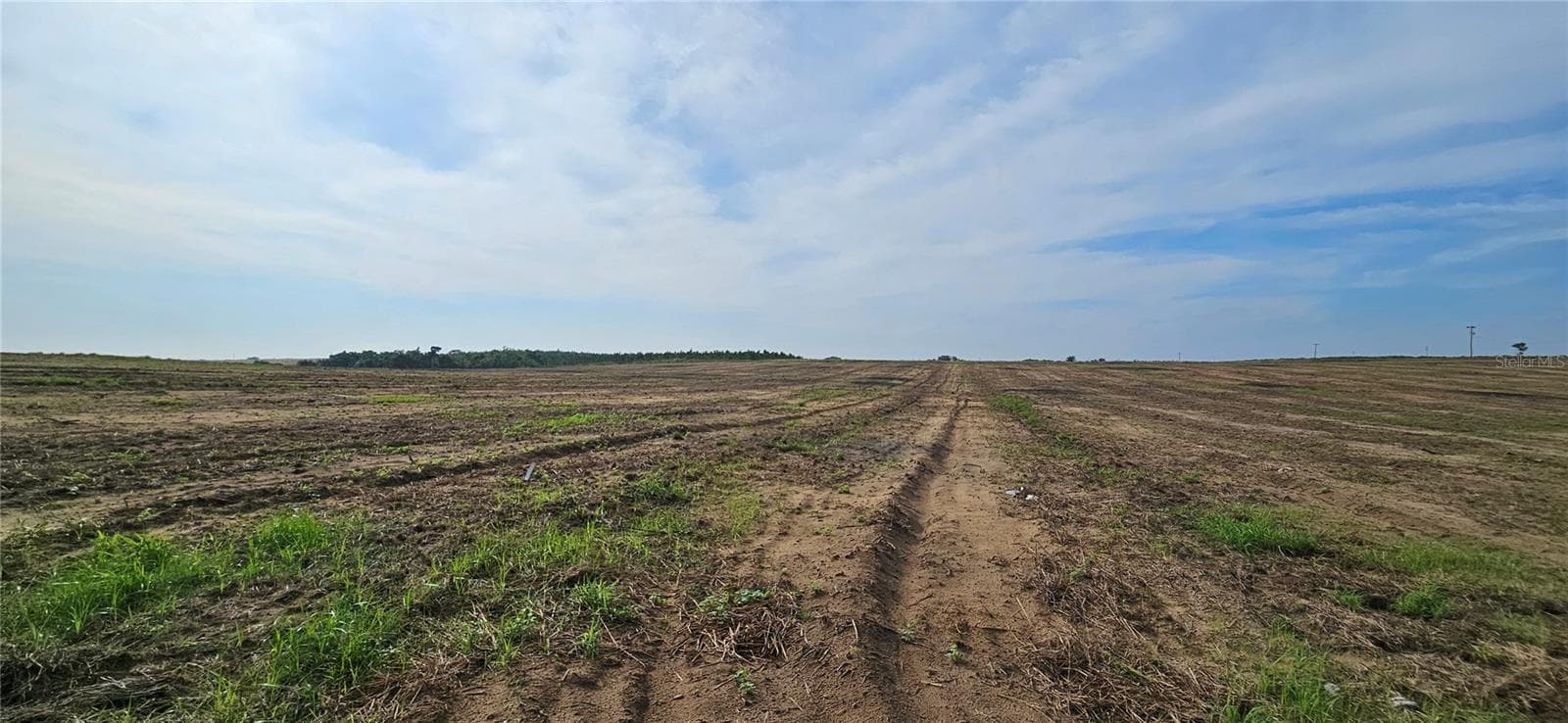 Land at GOLDEN BOUGH RD, LAKE WALES, photo 2 of 7