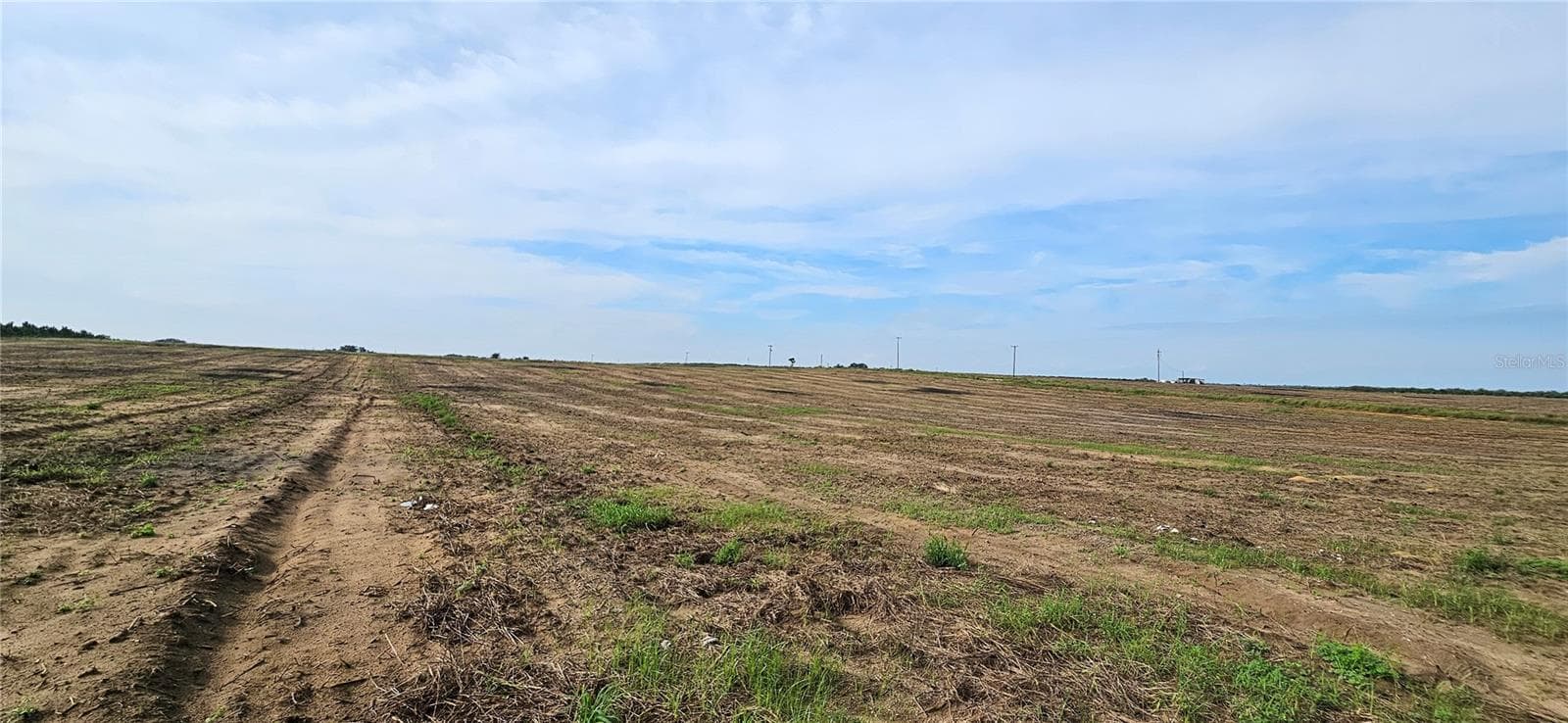 Land at GOLDEN BOUGH RD, LAKE WALES, photo 3 of 7