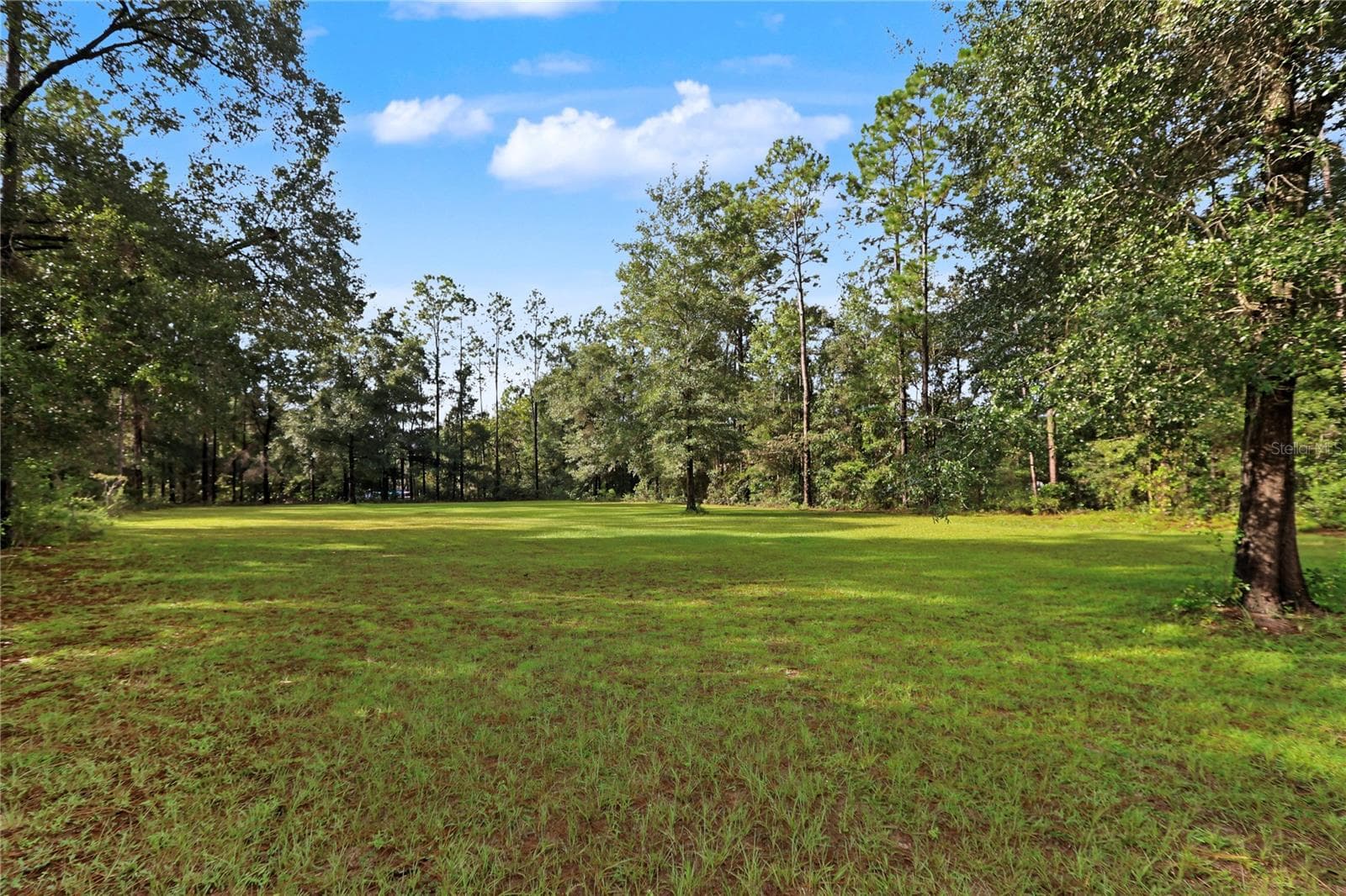 Pasture - 17980 SW 31ST ST, DUNNELLON