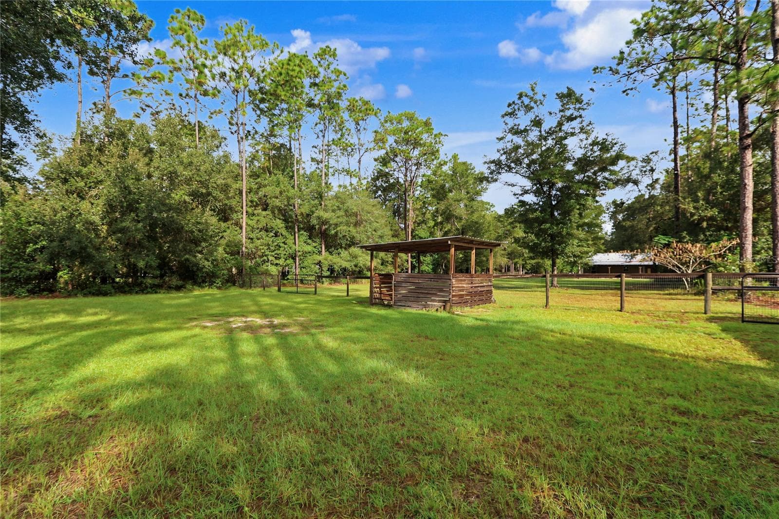 View Frm Pasture - 17980 SW 31ST ST, DUNNELLON