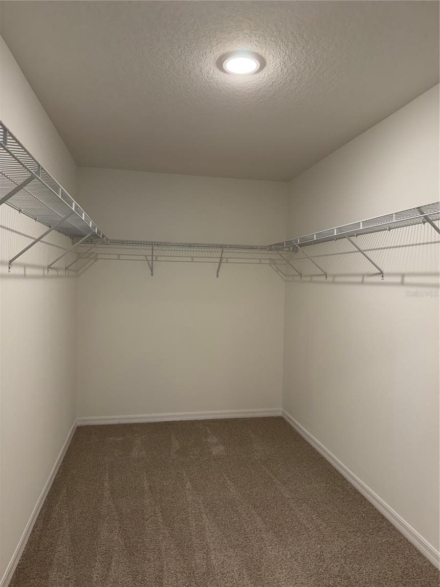 Primary walk in closet - 12926 RED DEER PL, PARRISH
