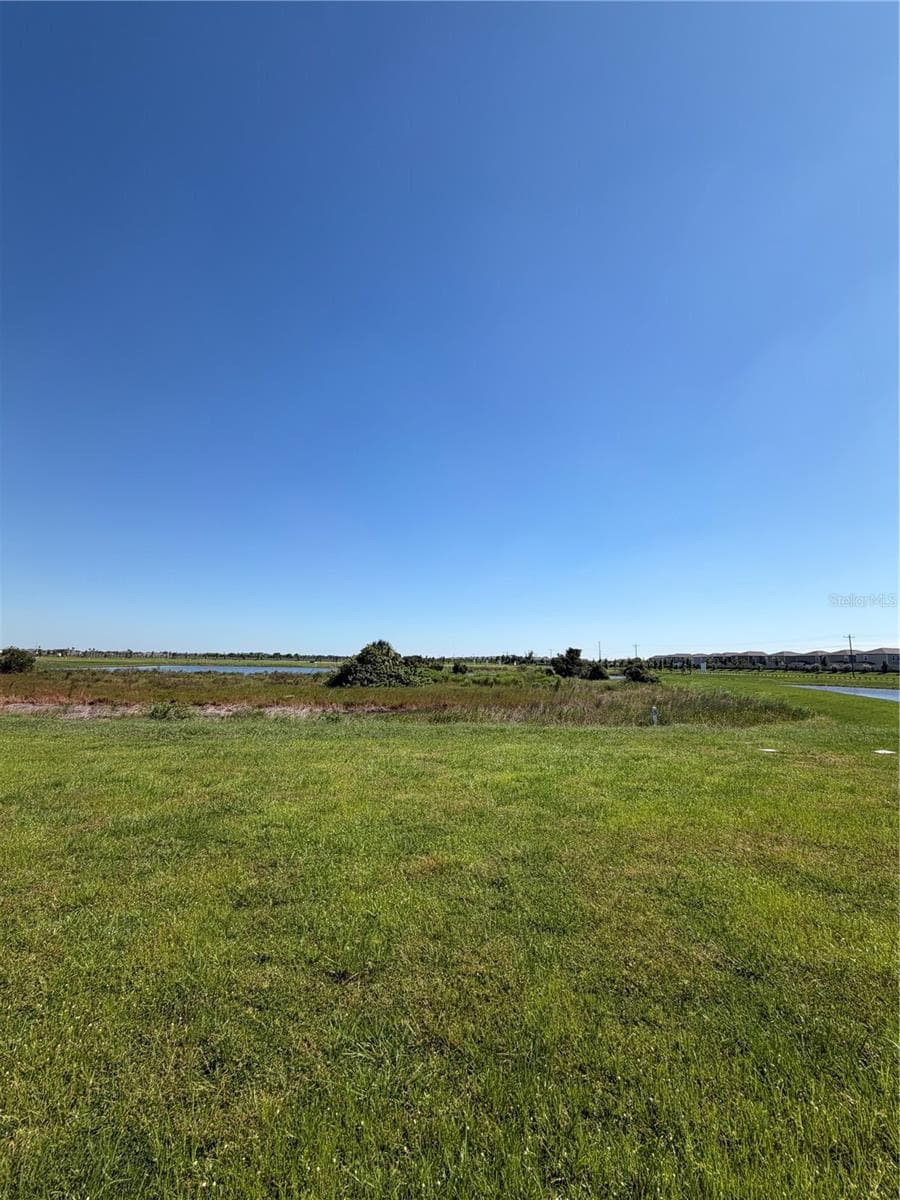 Backyard View - 12926 RED DEER PL, PARRISH
