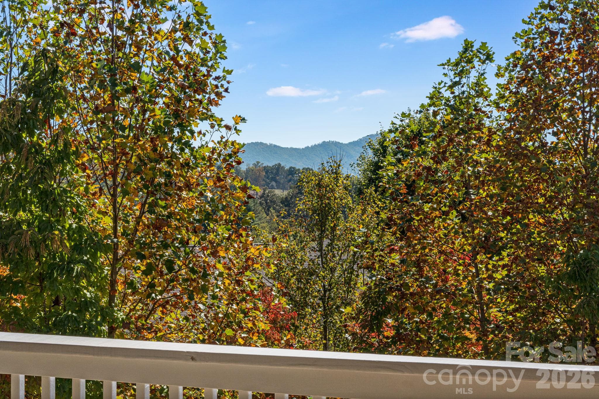 Mountain views! - 76 Rose Creek Road, Leicester