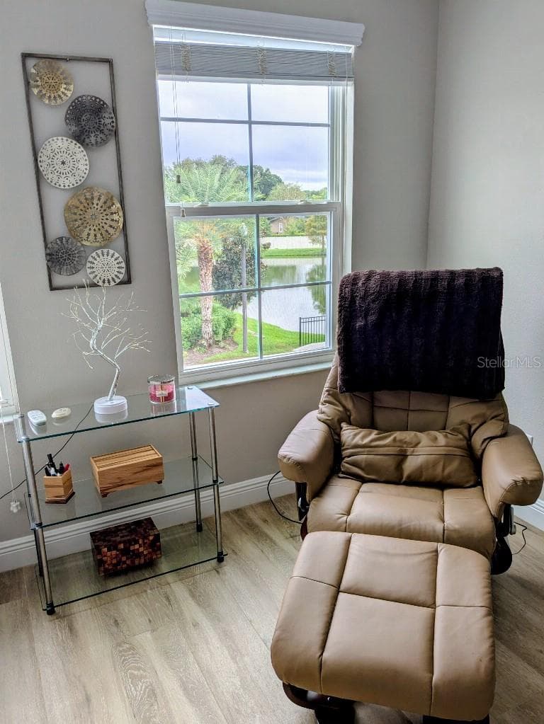 Townhouse at 2454 FOGGY CREEK CIR, CLEARWATER, photo 22 of 29