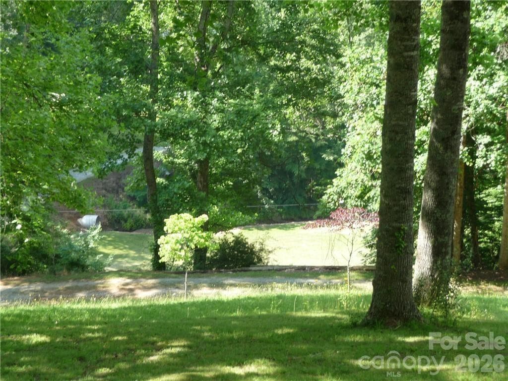 Acreage at 0 Joe Shoemaker Road, Vilas, photo 4 of 42