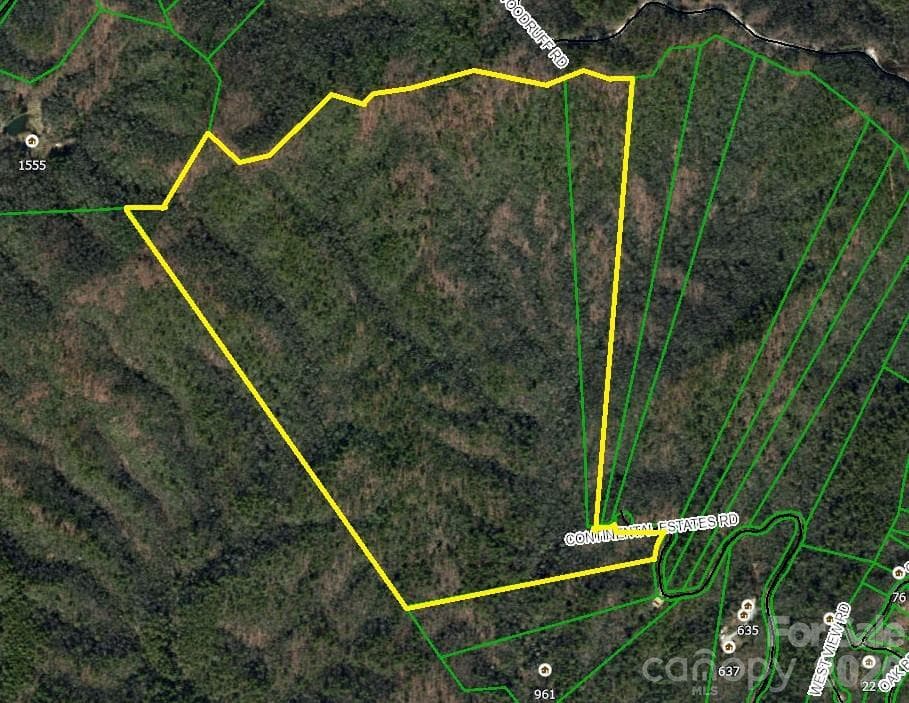 Lot at TBD Old Toxaway Road, Brevard, photo 9 of 25