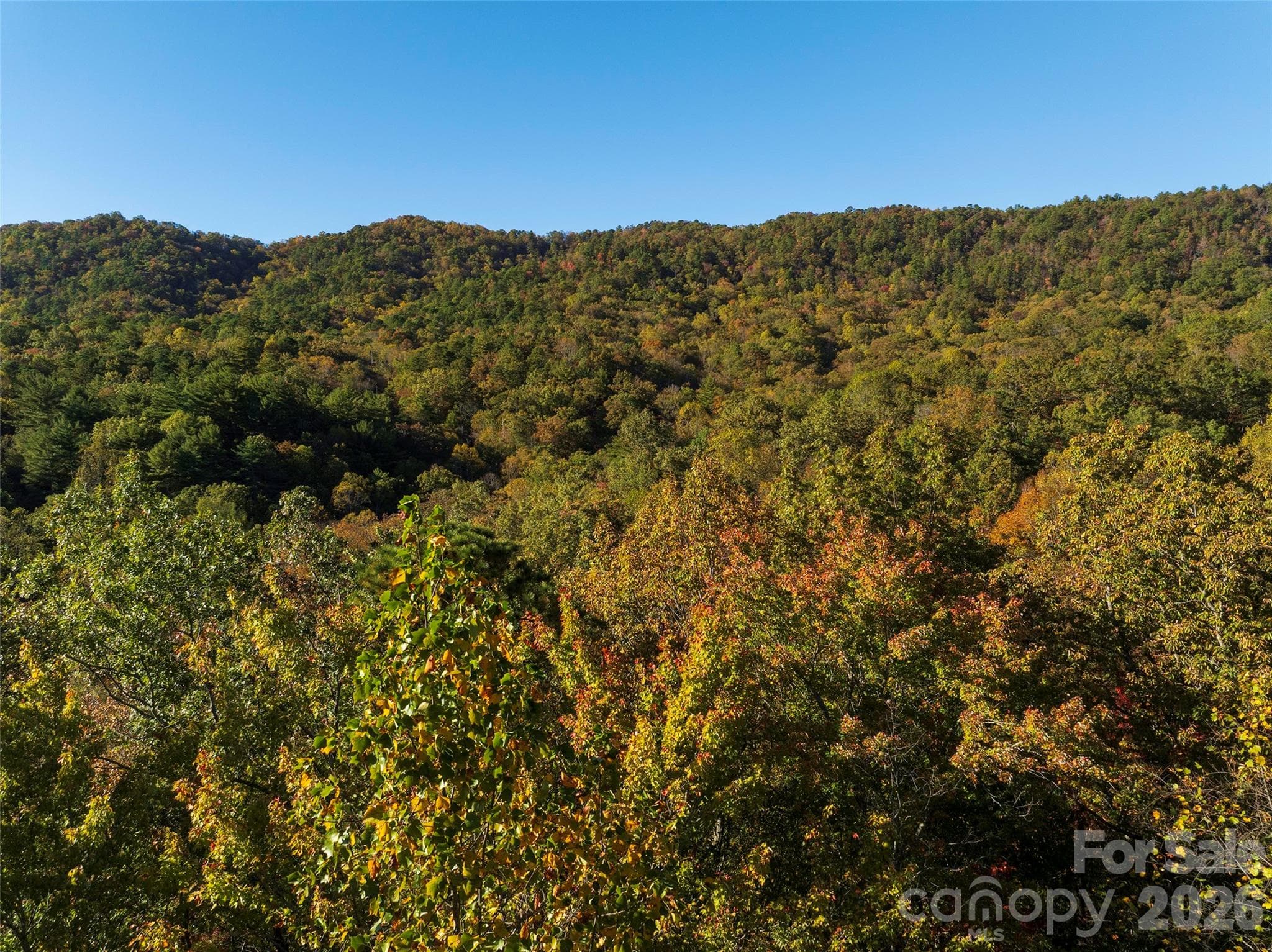 Lot at TBD Old Toxaway Road, Brevard, photo 12 of 25